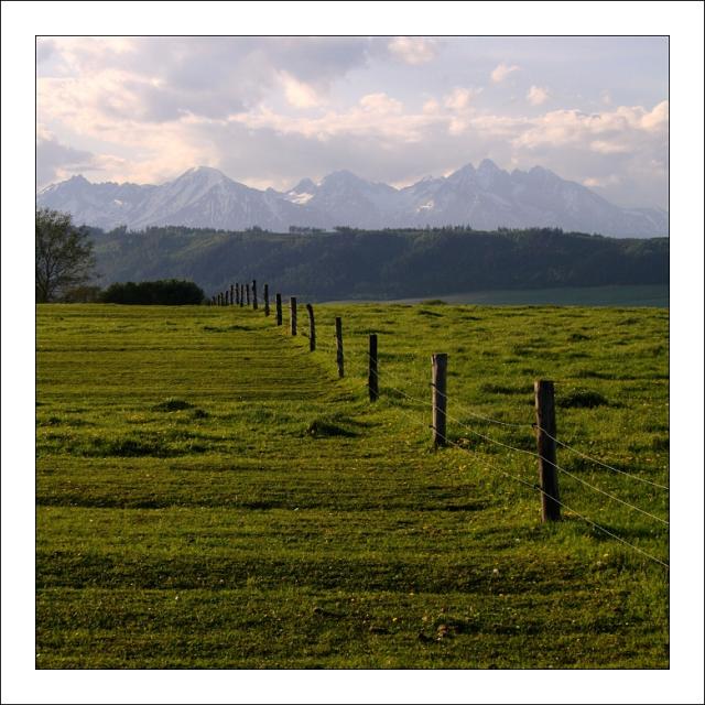 A01-4 Okem pasoucího se koně Spišského