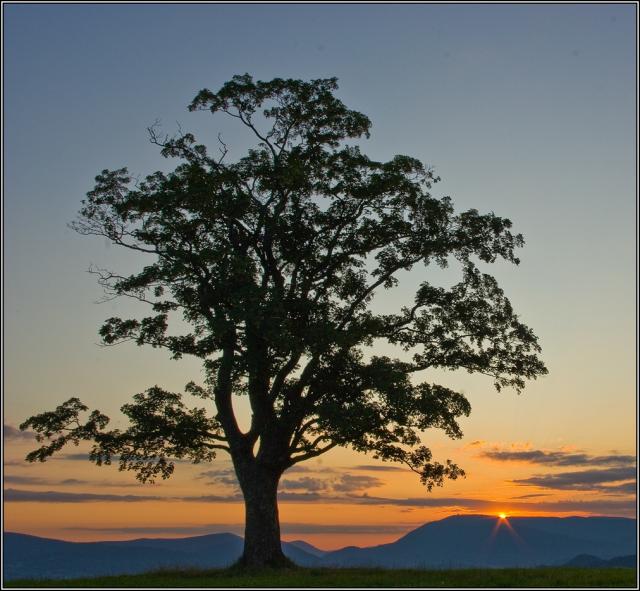 
Právě teť........