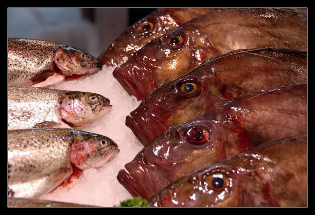 D29 Z očí do očí