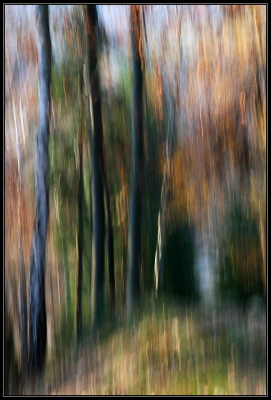 I15 Podzimní malování