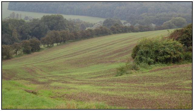 R05 Kultivovaná krajina