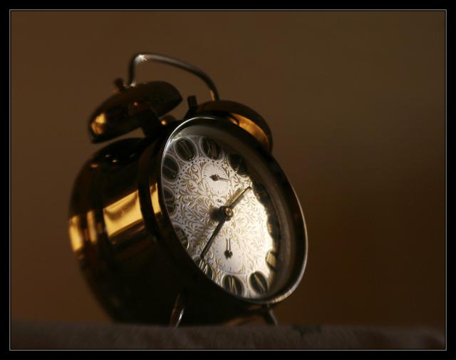 R31 Odlesky vzpomínek