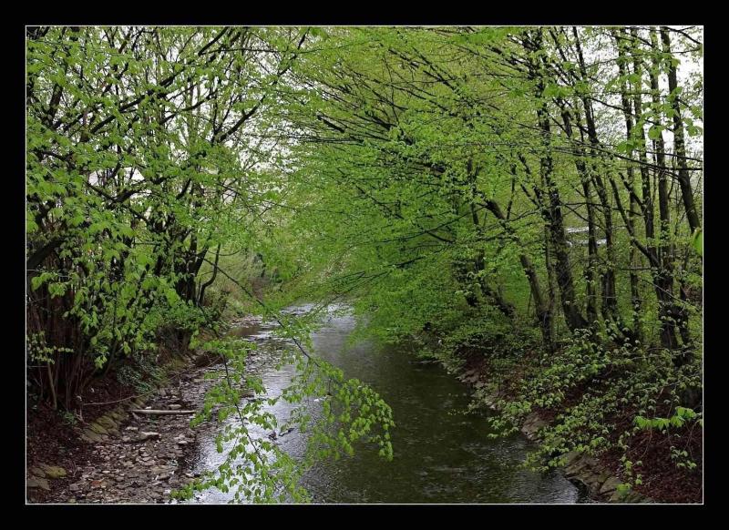 Vsetínský náhon 1