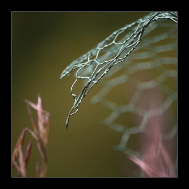 W02 V jarním žáru