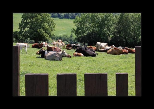 W24 Valašská siesta