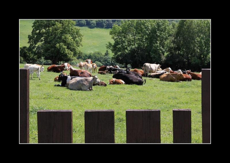 W24 Valašská siesta