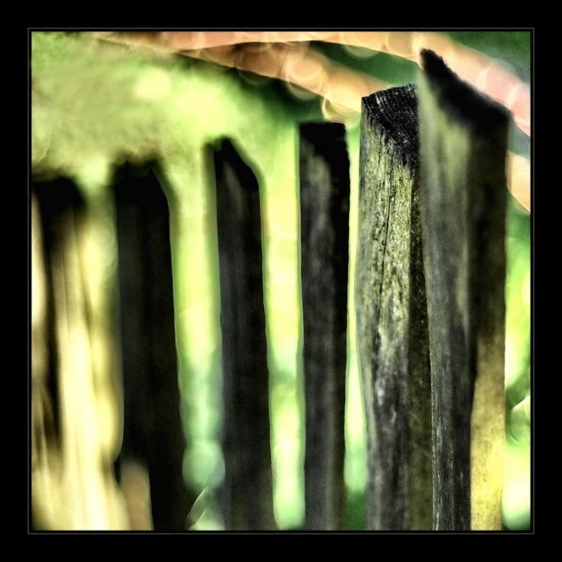 W26 Pohlcen přírodou