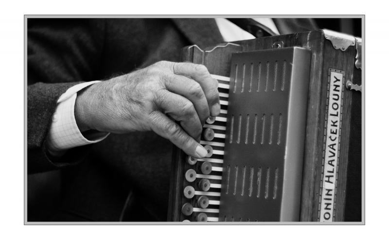 Y17 Starej harmonikář