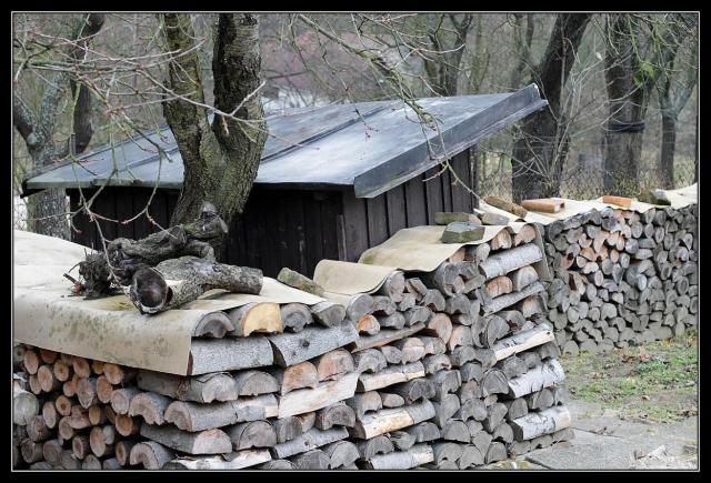 c04 Zahrada, jak ji tatínek opustil...I