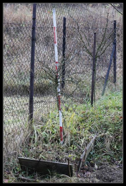 c05 Zahrada, jak ji tatínek opustil...II