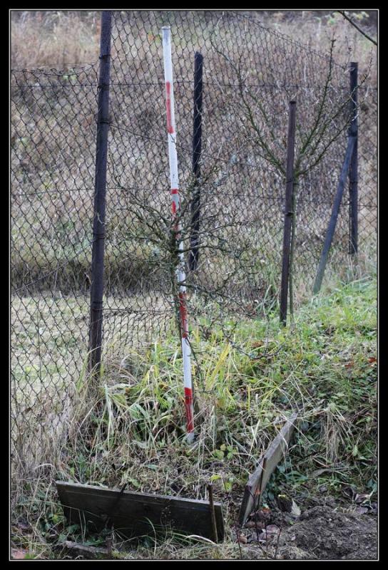 c05 Zahrada, jak ji tatínek opustil...II