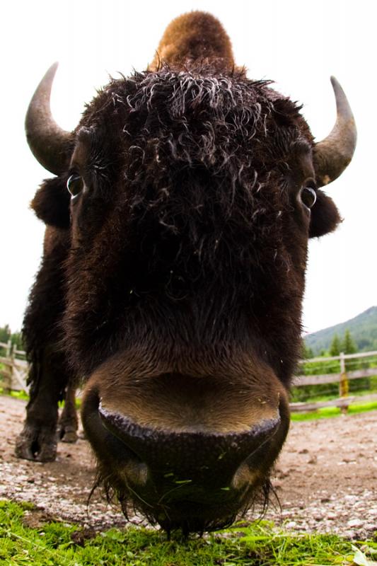 e07 Tak velký a přesto tak milý...