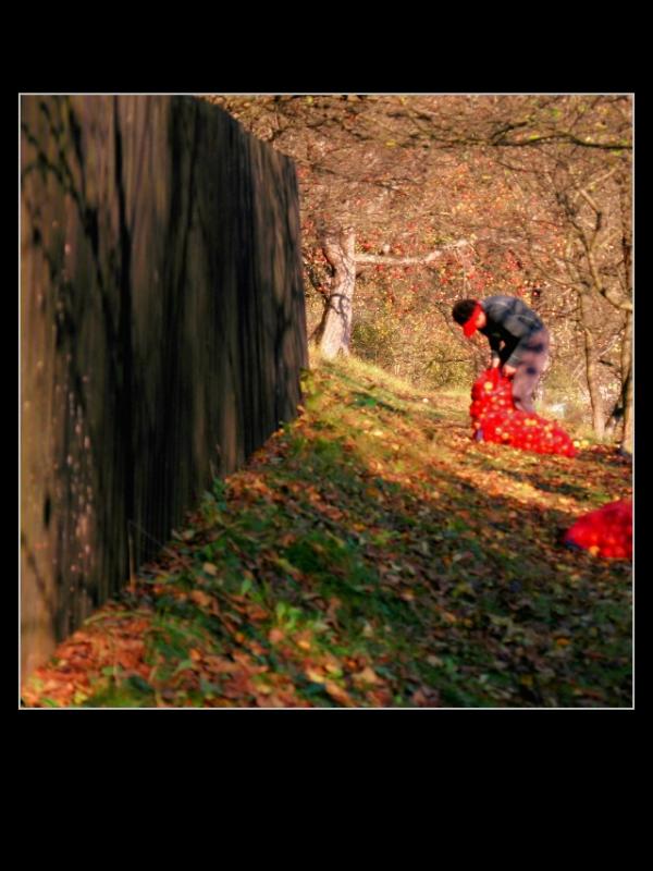 g09 Zahrada s Carmen