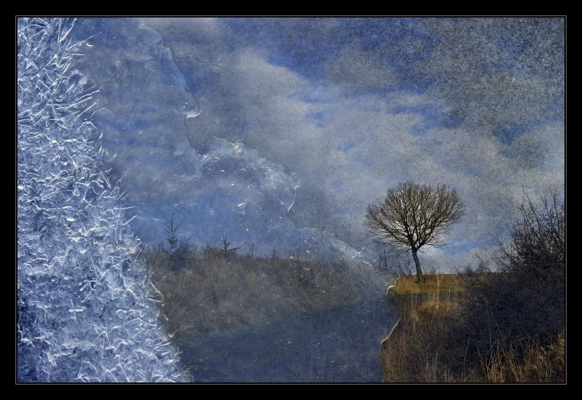 8. Šaková Květoslava - Doba ledová IV