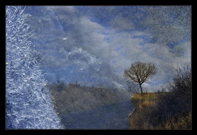 8. Šaková Květoslava - Doba ledová IV