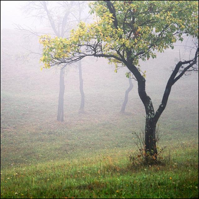 12/2. Olšák Miroslav - Valašský Monet II (seriál)