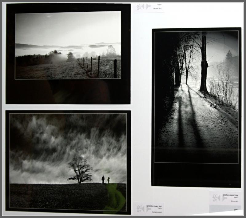 Kategorie I - Příroda a krajina (ČB) 2.cena Randýsek Bedřich  (kolekce foto)