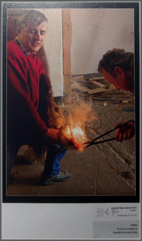 Kategorie III - Tradice a kultůra (barva) I.cena Novotný František (za cyklus Podkováří)