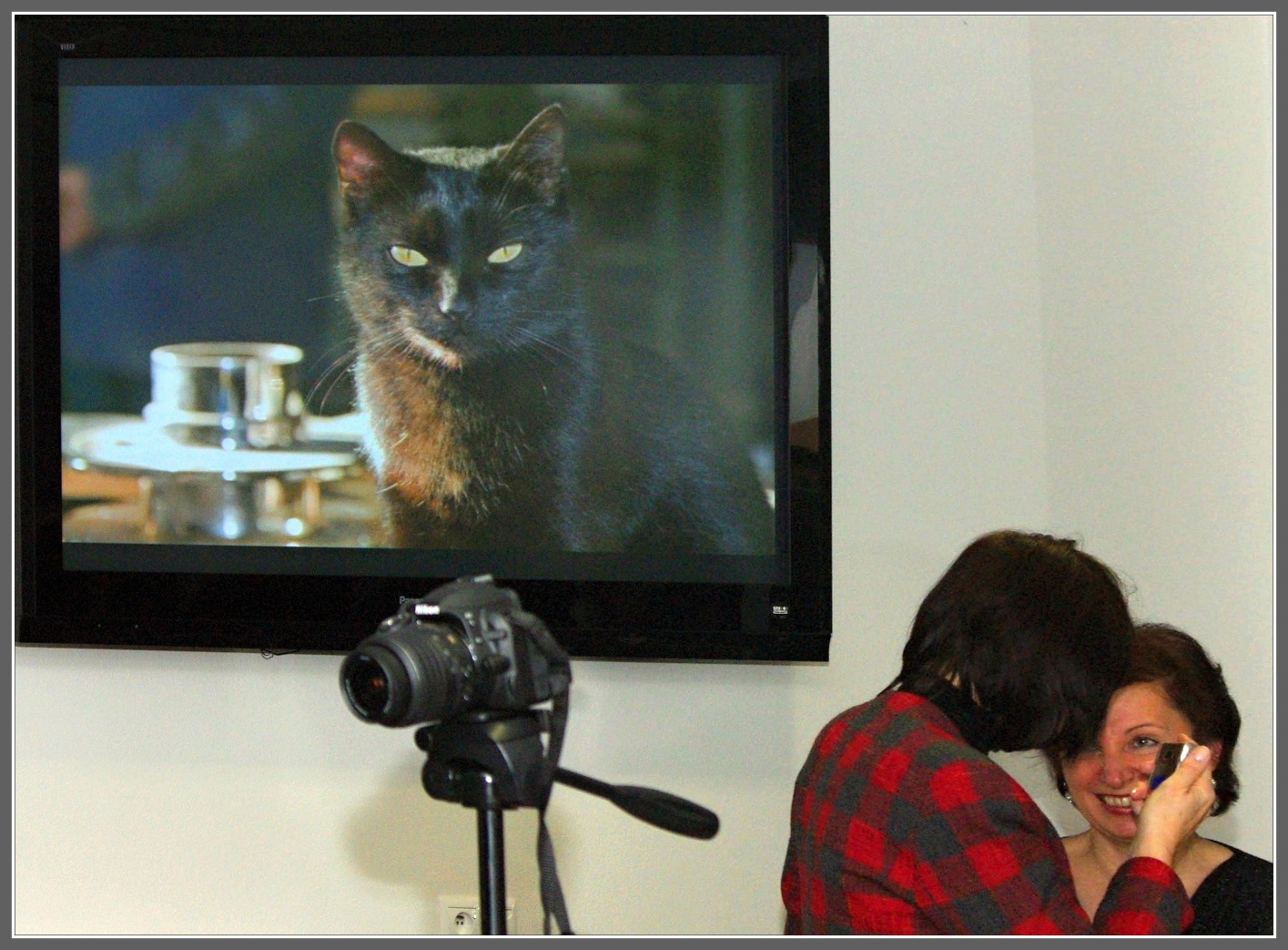 Kategorie - Multimediální prezentace -Cena: Novotný František - Z dílny mistra koláře