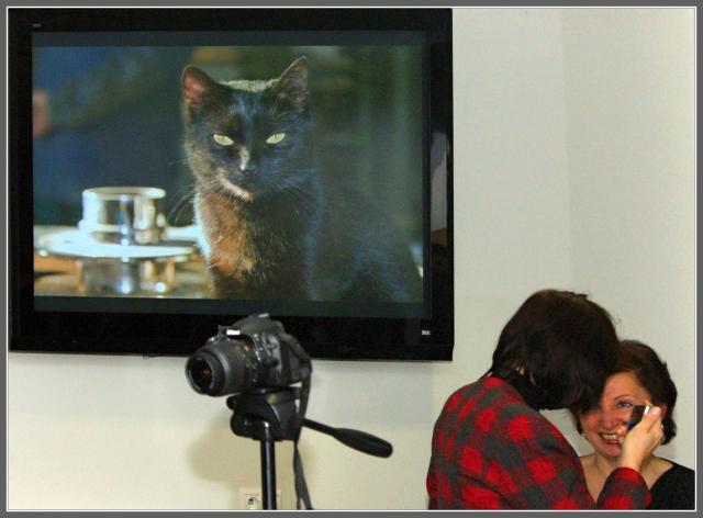 Kategorie - Multimediální prezentace -Cena: Novotný František - Z dílny mistra koláře