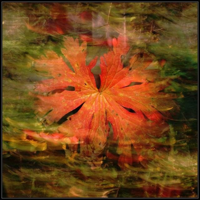 Podzimní malování 11