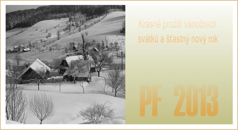 PF 2013 Martin Kazmíř