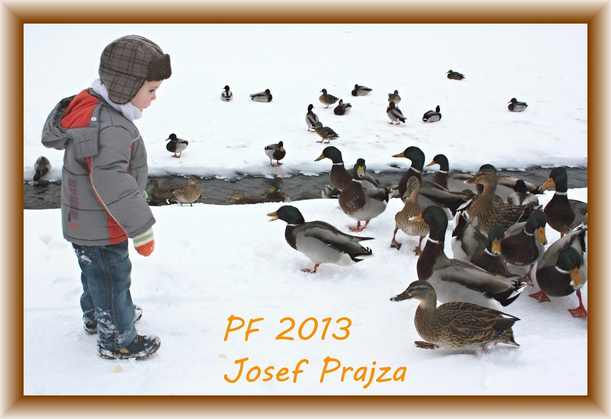 PF 2013  Josef Prajza-2