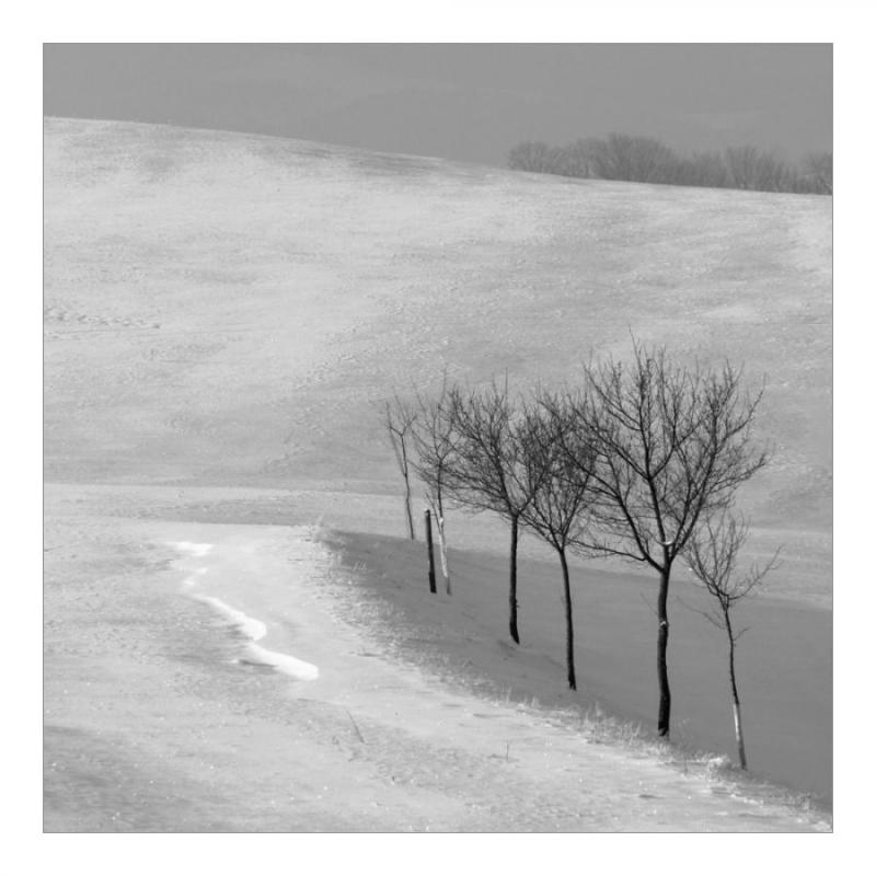 s14 Valašská zima I