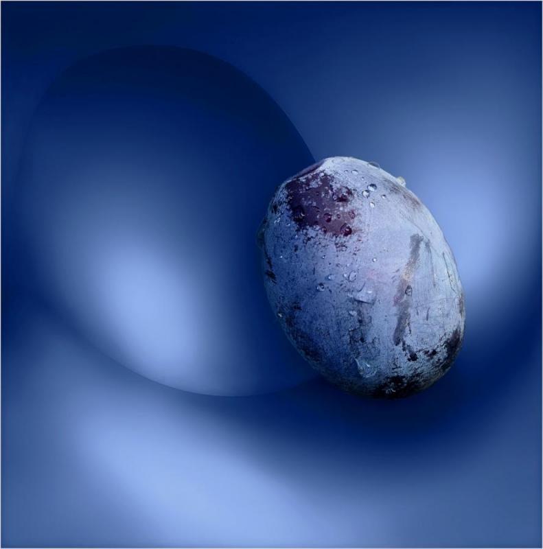 v11 Tvar švestkově modré