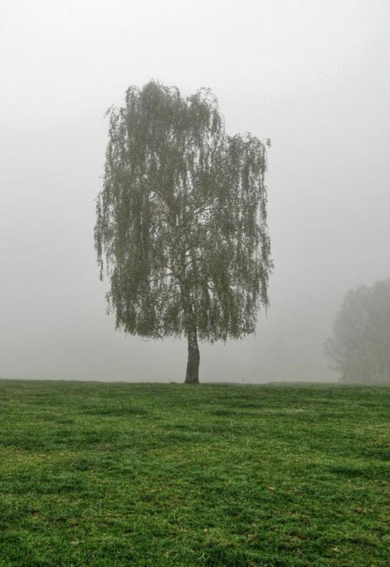 z04 Prženské paseky 2