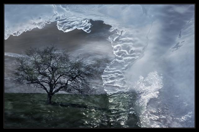 14. Šaková Květoslava - Doba ledová