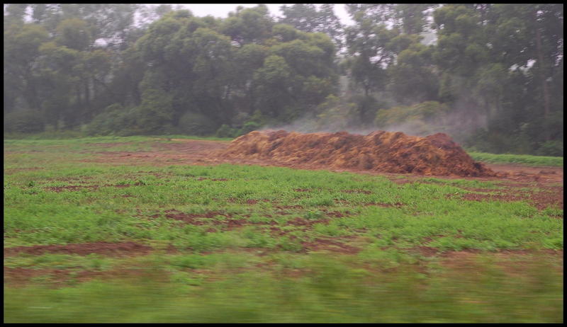 D02 Kouřící hnůj z jedoucího vlaku...