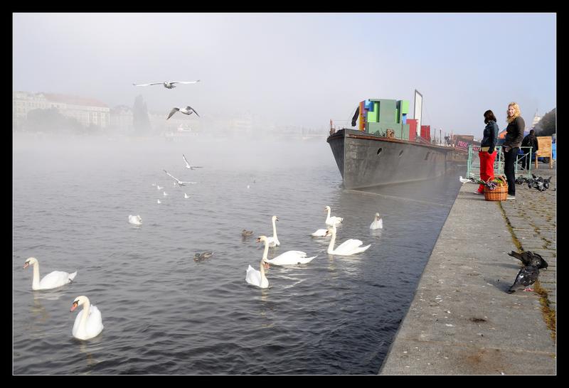 G10 Ráno na náplavce