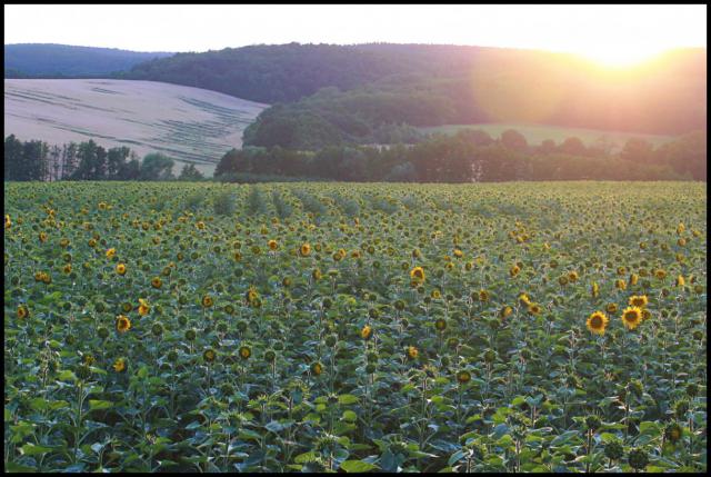 L02 Západ slunce v Habrovanech