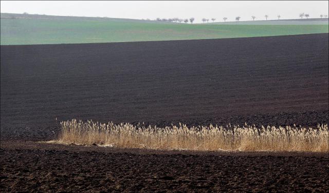 K16 Krajina v březnu