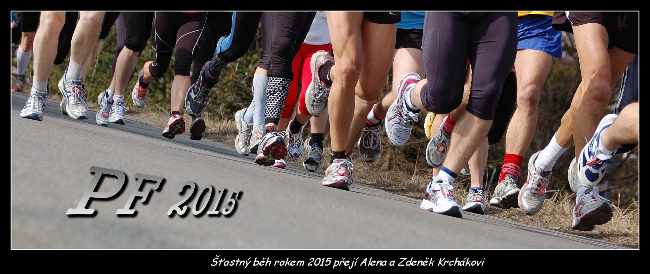 M01 PF 2015 Krchák/1