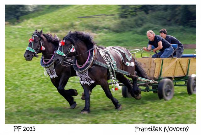 M08 PF 2015 Novotný/1