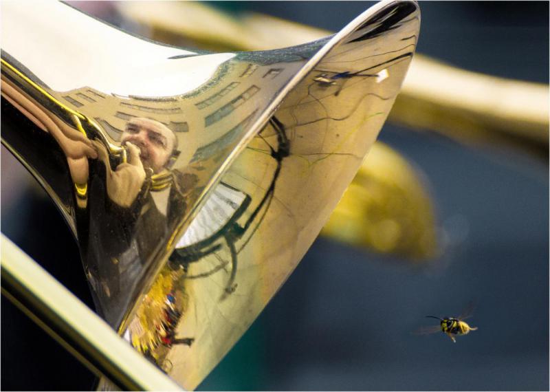 N17-Detail z jazzového festivalu