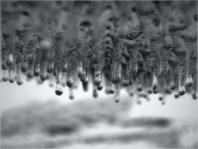 Zimní detail