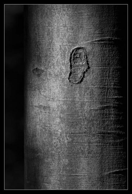 1604_03 Piha