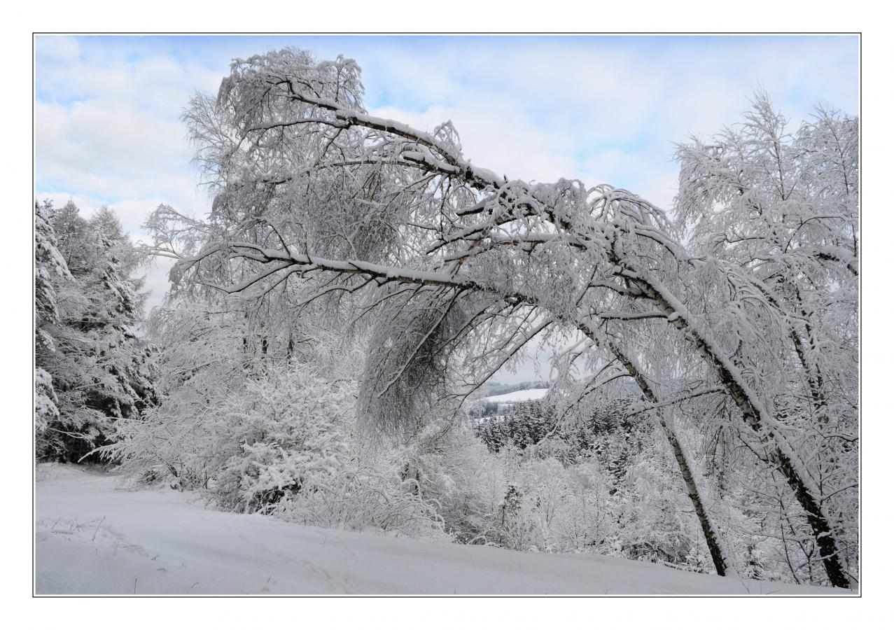 1601_07 Pod tíhou osudu.