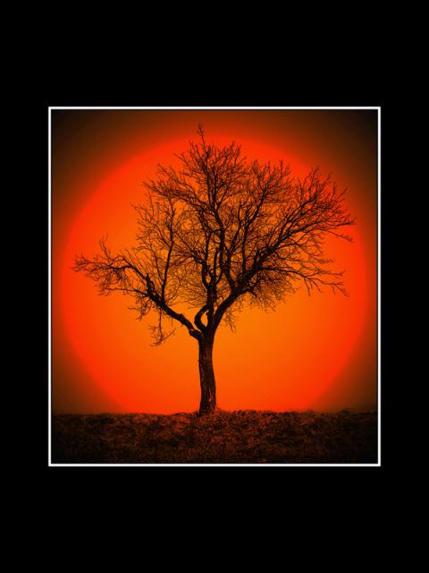 10_Martin_Skrivanek_Strom