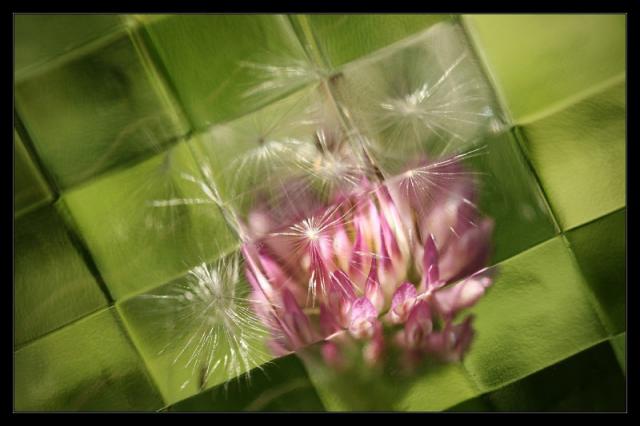 15a_K_Sakova_Sklenene_metamorfozy_01