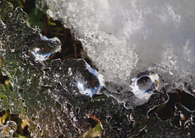 06_Milena_Hurytova_Kouzla_predjari