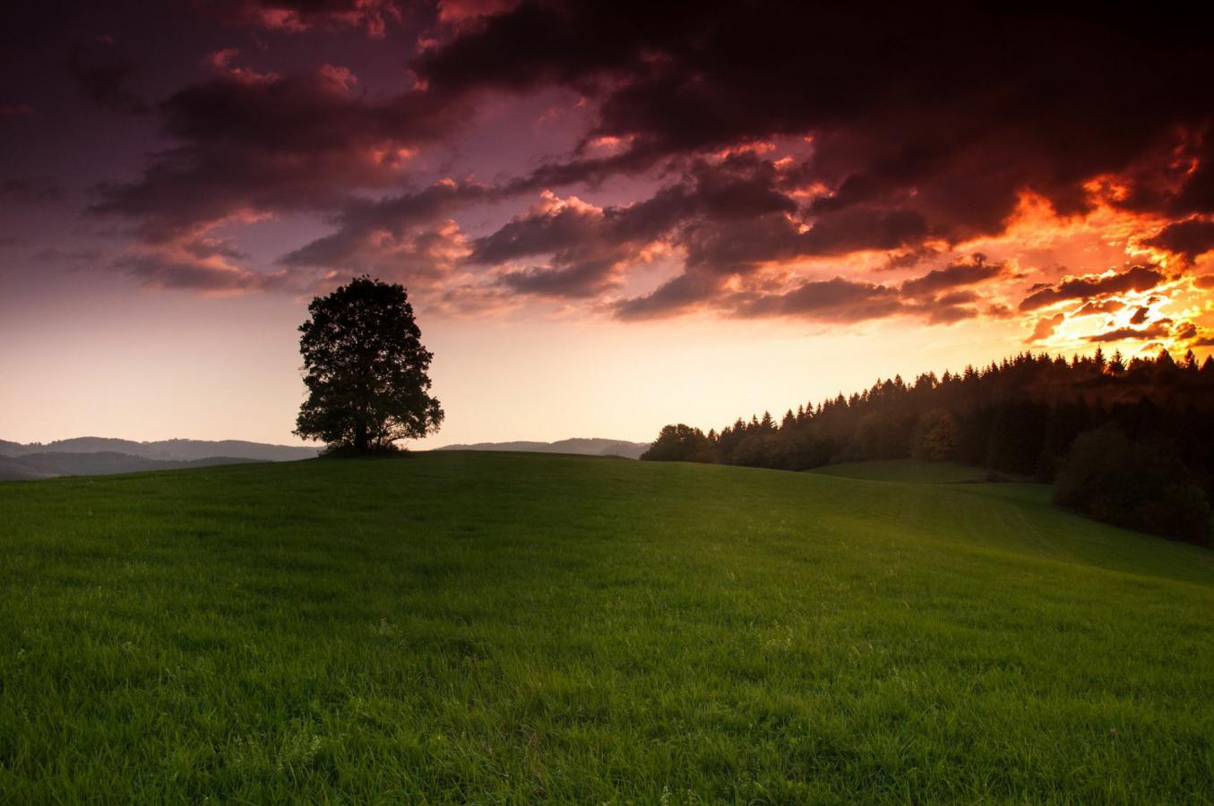 1710_13 Na konci dne.