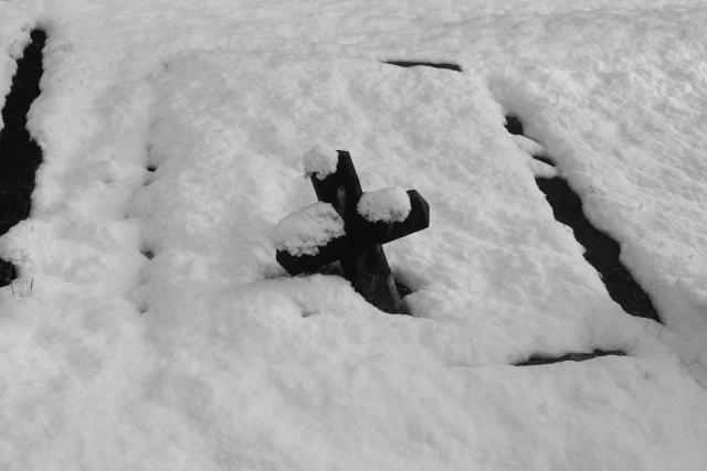 1801_03 winter forever