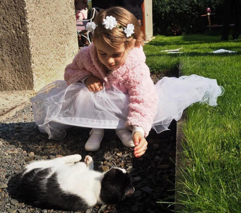 1802_20 Jé kočička