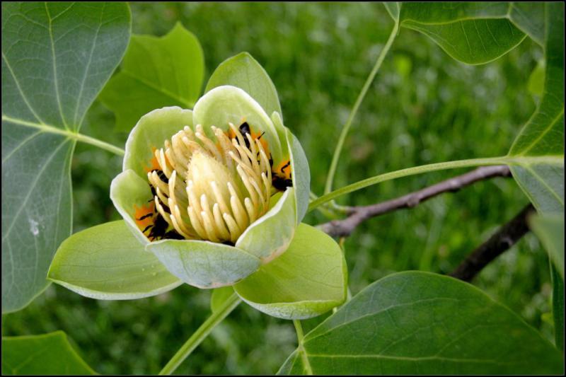 1810_03 viděno zblízka