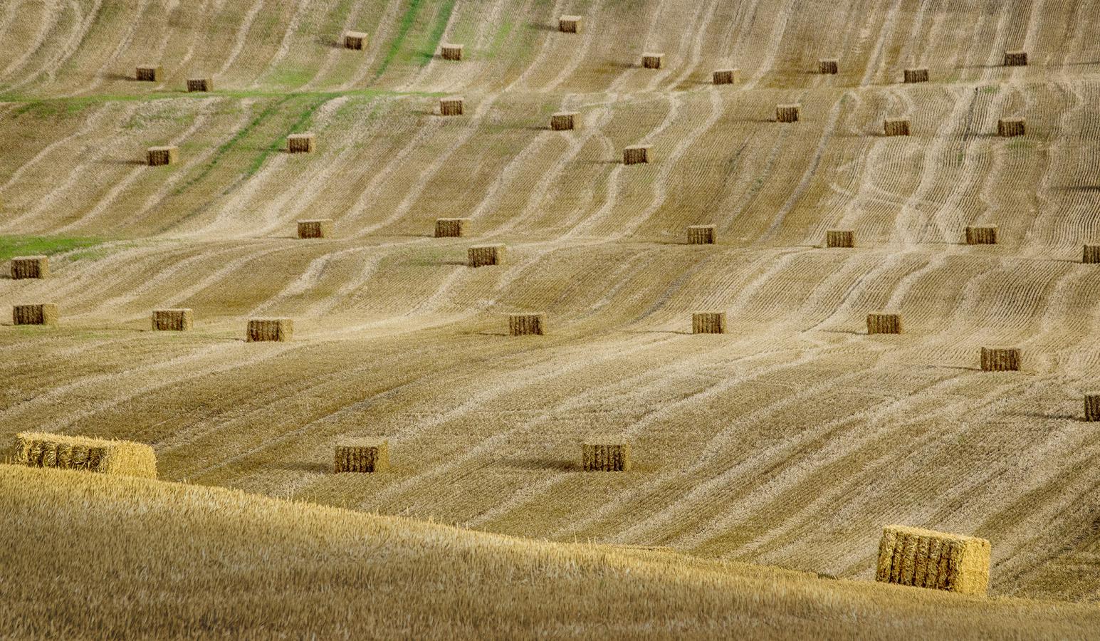 1809_14 Poštovní pole