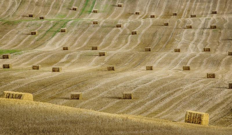 1809_14 Poštovní pole